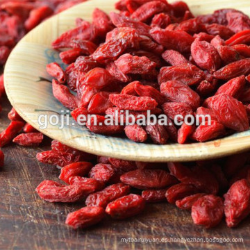 Muestra gratuita Natural Healthy Goji Berry